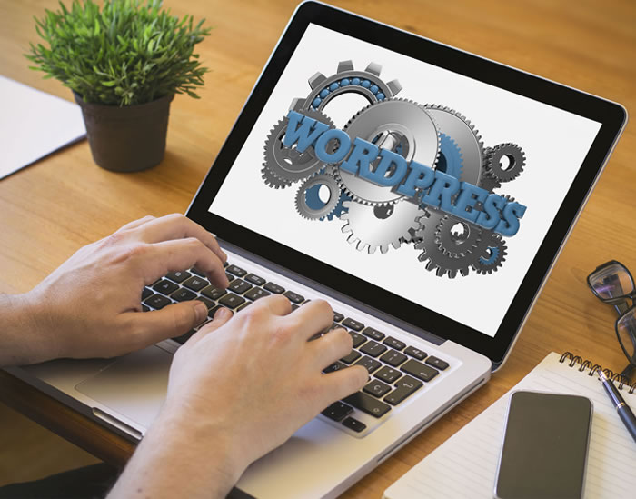 Website Development Company In UAE