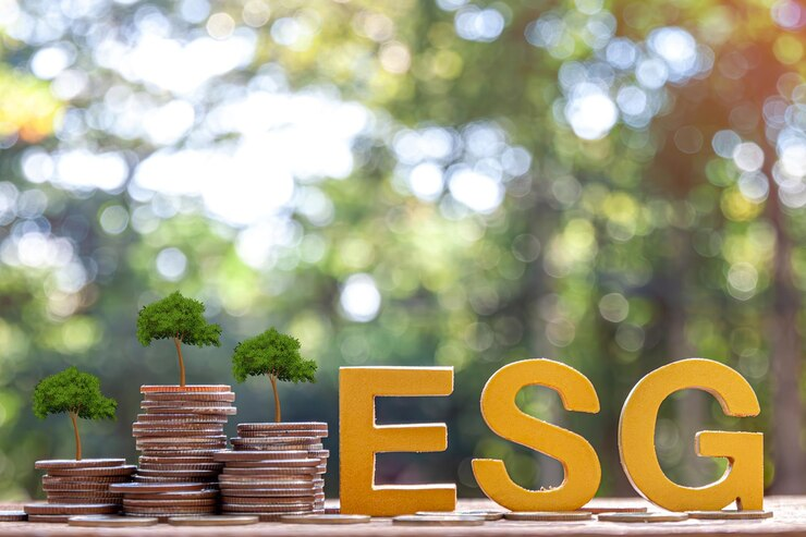 Sustainability reporting software