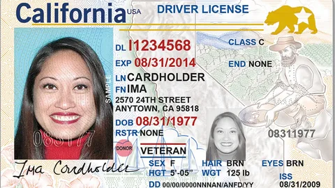 California ID Template: Editable and Authentic Designs