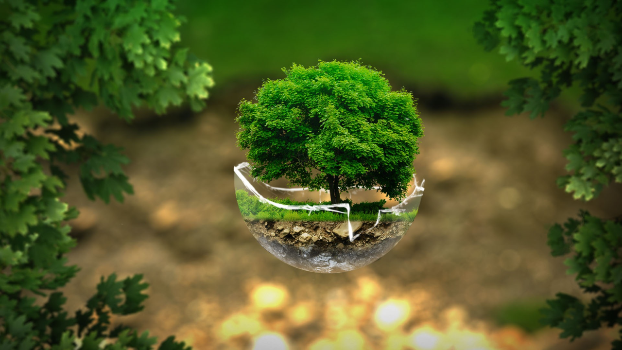 Environmental Nonprofit Organization USA
