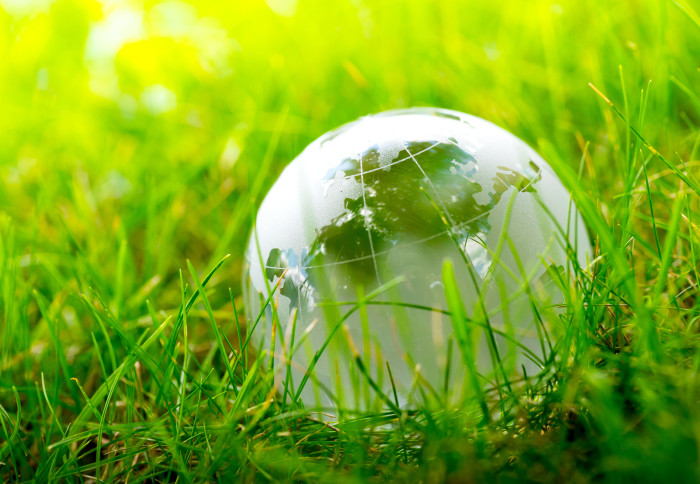 What Are the Key Goals of an Environmental Organization