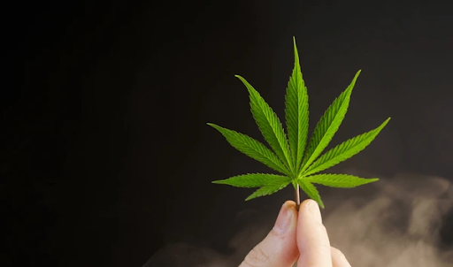 cannabis addiction treatment