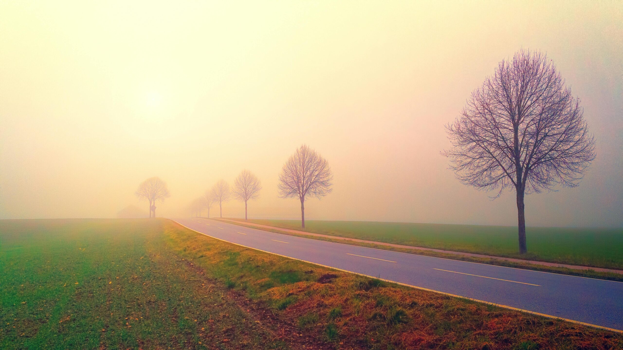 serenity benefits
