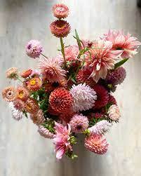 Explore November Floral Palette with All Its Vibrant Blooms