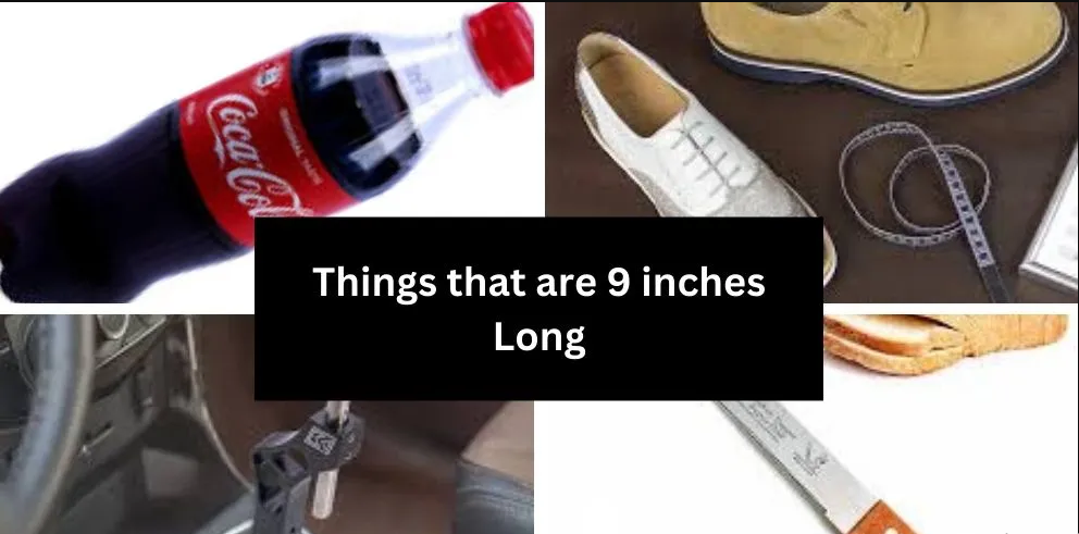 9 Inches