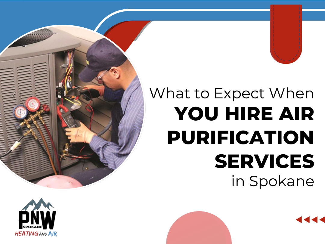 air purification services