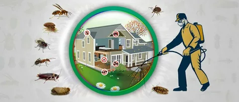 Reliable Pest Control in Lahore: Find the Best Nearby Services