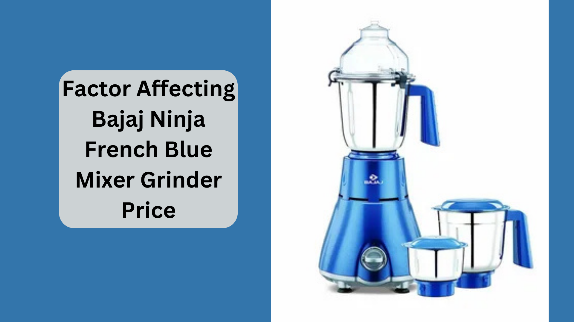 Factor Affecting Bajaj Ninja French Blue Mixer Grinder Price