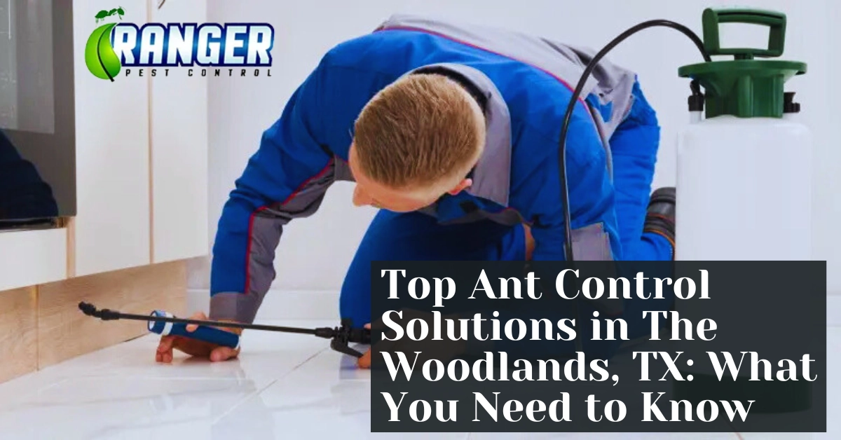 Protect Your Property with Pest Control in Modest