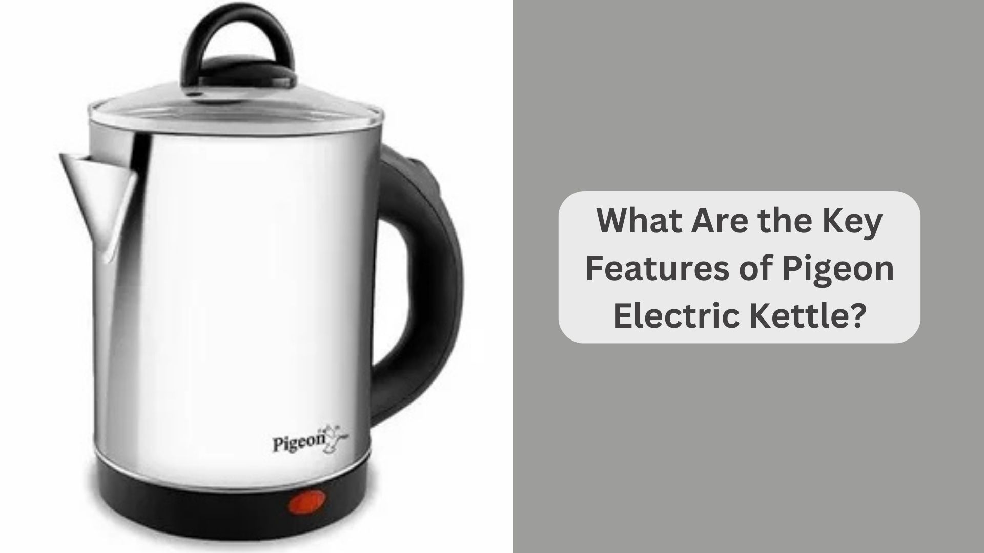What Are the Key Features of Pigeon Electric Kettle