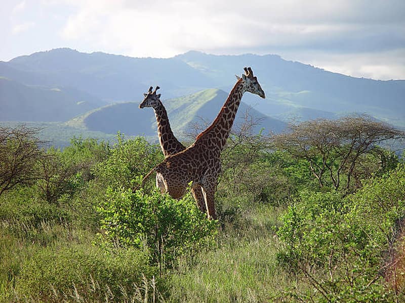 Top 7 must-see places in Kenya to visit